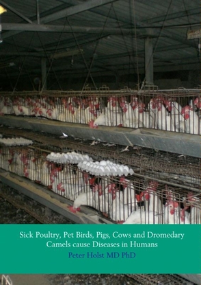 Afbeeldingen van Sick poultry, pet birds, pigs, cows and dromedary camels cause diseases in humans
