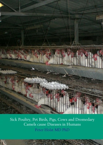 Afbeelding van Sick poultry, pet birds, pigs, cows and dromedary camels cause diseases in humans