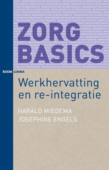 Afbeelding van ZorgBasics Werkhervatting en re-integratie