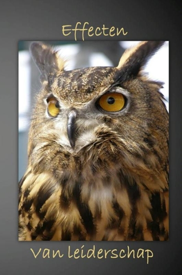 Afbeelding van Effecten van leiderschap