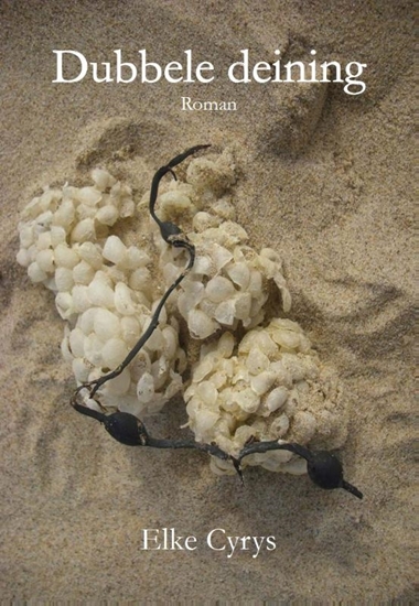 Afbeelding van Dubbele deining