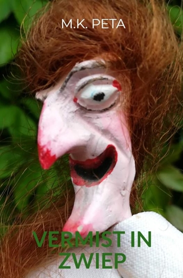 Afbeelding van Vermist in Zwiep