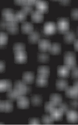 Afbeeldingen van Glas gevang