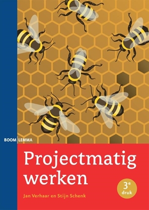 Afbeeldingen van Projectmatig werken