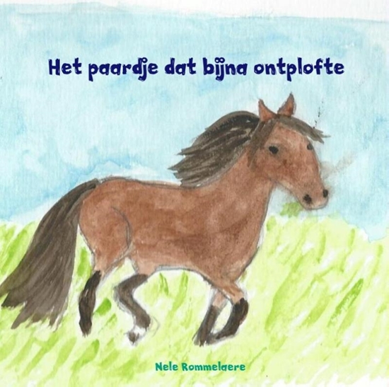 Afbeelding van Het paardje dat bijna ontplofte