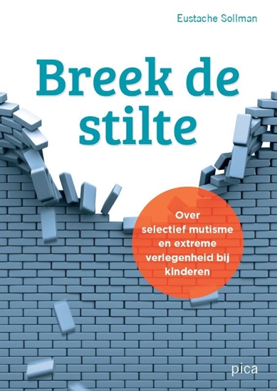 Afbeelding van Breek de stilte