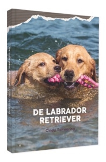 Afbeelding van De Labrador Retriever