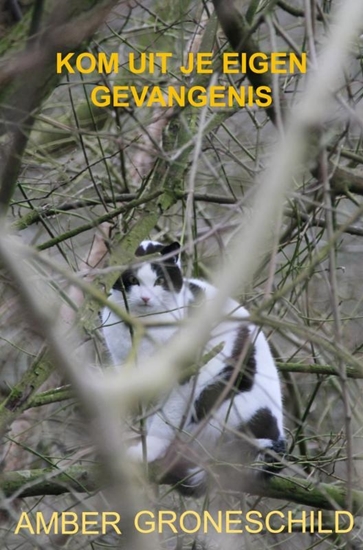 Afbeelding van Kom uit je eigen gevangenis