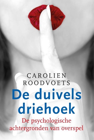 Afbeelding van De duivelsdriehoek