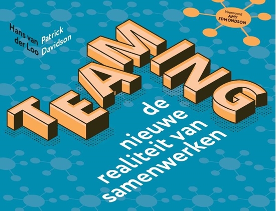 Afbeelding van Teaming