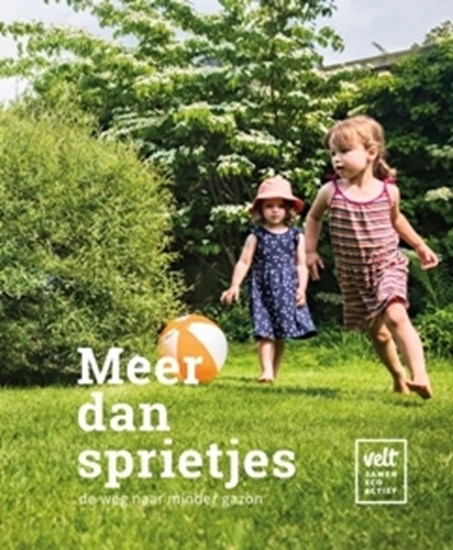 Afbeelding van Meer dan sprietjes