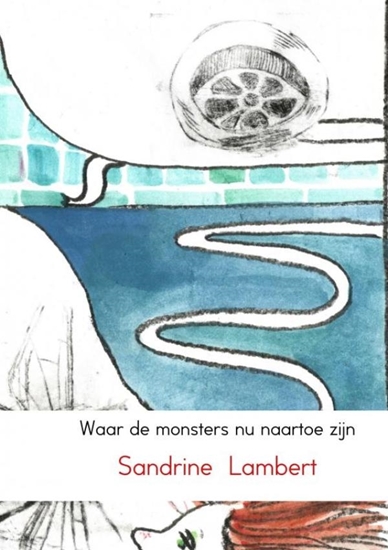 Afbeelding van Waar de monsters nu naartoe zijn