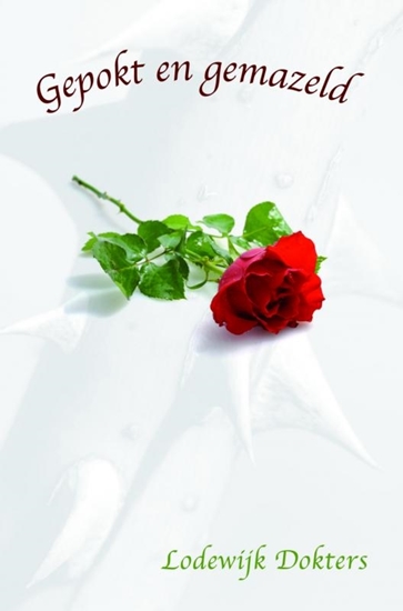 Afbeelding van Gepokt en gemazeld