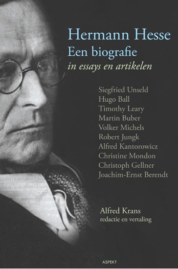 Afbeelding van Hermann Hesse Een biografie