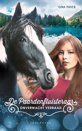 Afbeelding van De Paardenfluisteraar 4