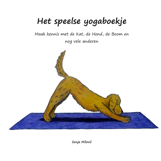 Afbeelding van Het speelse yogaboekje