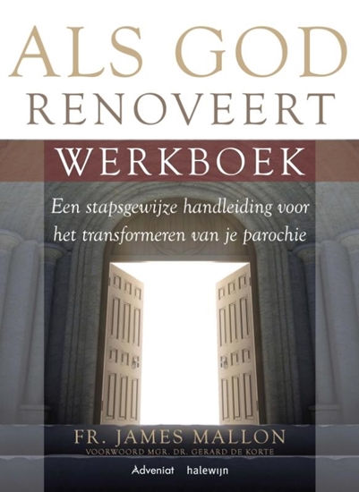 Afbeelding van Als God renoveert