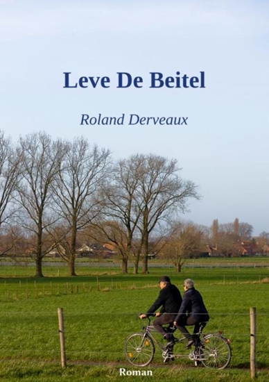 Afbeelding van Leve de beitel