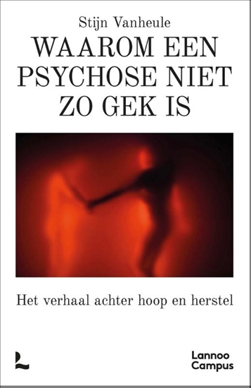 Afbeelding van Waarom een psychose niet zo gek is