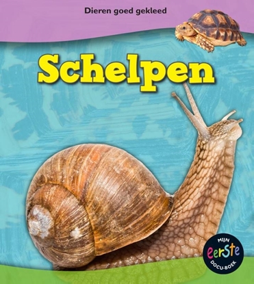 Afbeeldingen van Dieren goed gekleed Schelpen