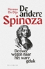 Afbeelding van De andere Spinoza