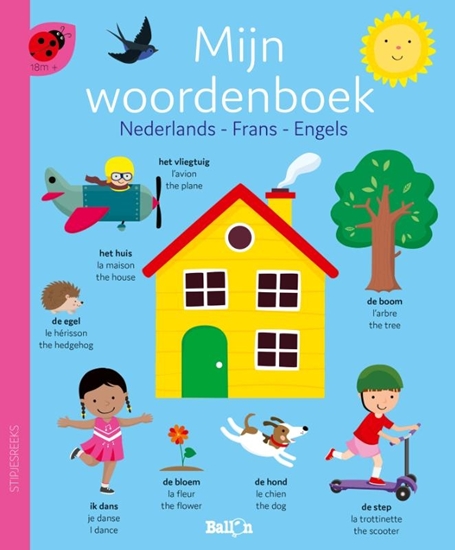Afbeelding van Stipjesreeks Mijn woordenboek - Nederlands, Frans, Engels