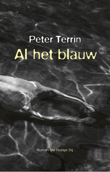Afbeelding van Al het blauw
