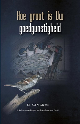 Afbeeldingen van Themapreken Hoe groot is Uw goedgunstigheid