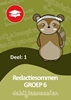 Afbeelding van Oefenboeken De Bijlesmeester Redactiesommen deel 1 groep 6