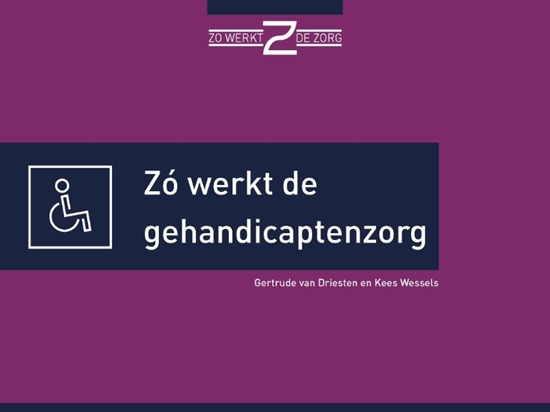 Afbeelding van Zó werkt de gehandicaptenzorg