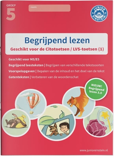 Afbeelding van Begrijpend lezen 1 Oefenboek