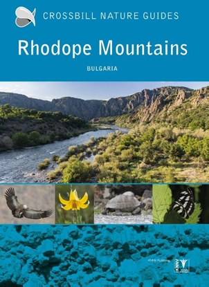 Afbeeldingen van Crossbill Nature Guides Rhodope Mountains
