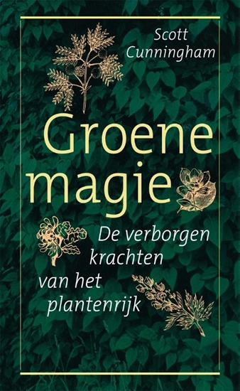 Afbeelding van Groene magie