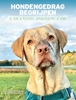 Afbeelding van Hondengedrag begrijpen