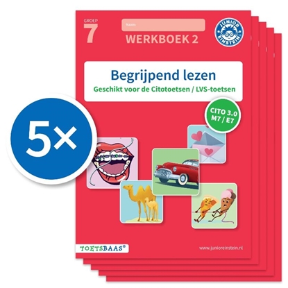 Afbeeldingen van Toetsbaas Begrijpend lezen werkboek 2 (Set van 5)