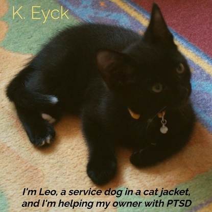 Afbeeldingen van I'm Leo, a service dog in a cat jacket, and I'm helping my owner with PTSD