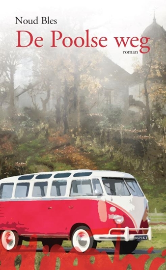 Afbeelding van De Poolse weg