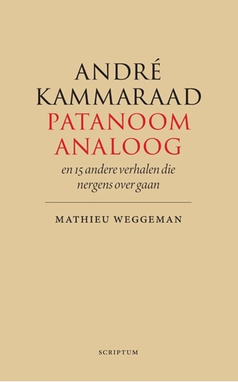 Afbeelding van André Kammaraad, patanoom-analoog