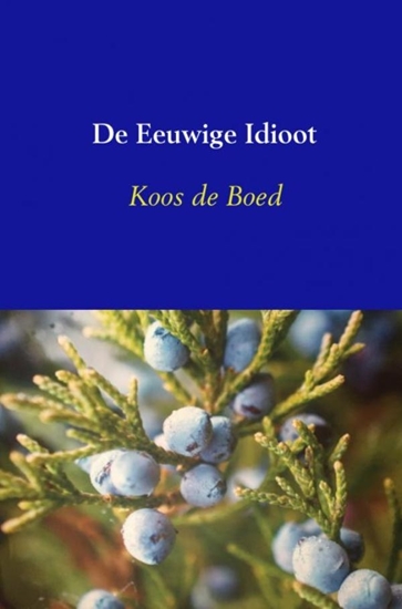 Afbeelding van De Eeuwige Idioot
