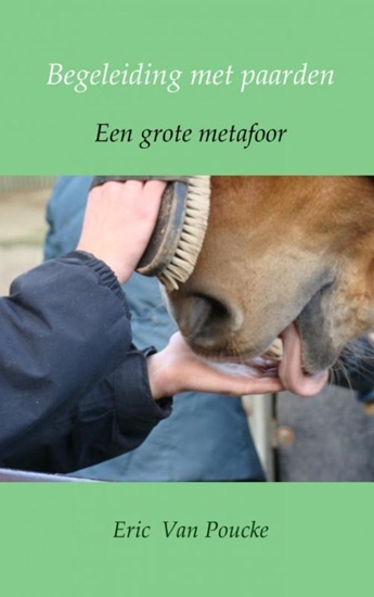 Afbeelding van Begeleiding met paarden