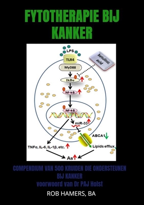 Afbeeldingen van Fytotherapie bij Kanker