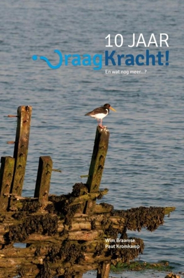 Afbeelding van 10 jaar vraagkracht