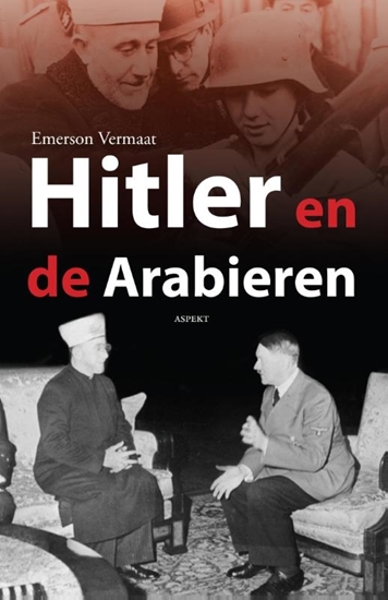 Afbeelding van Hitler en de Arabieren