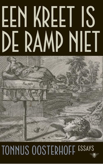 Afbeelding van Een kreet is de ramp niet