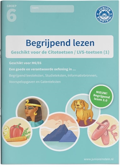 Afbeelding van Begrijpend lezen Groep 6 Oefenboek (1)