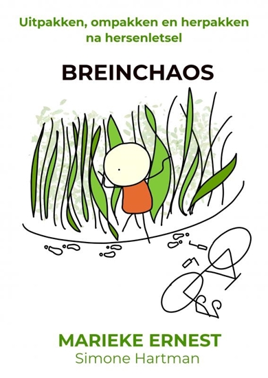 Afbeelding van Breinchaos