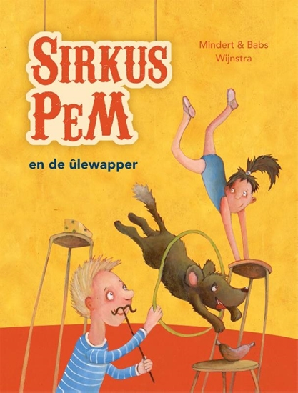 Afbeelding van Sirkus PeM en de ûlewapper