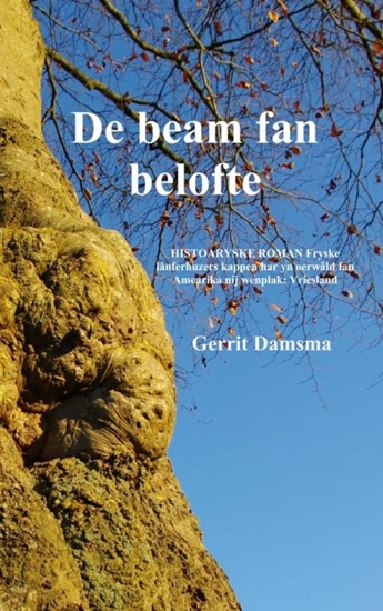 Afbeelding van De beam fan belofte