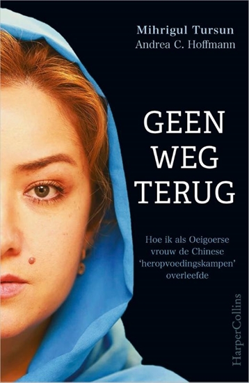 Afbeelding van Geen weg terug