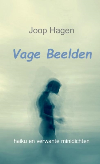 Afbeelding van Vage Beelden
